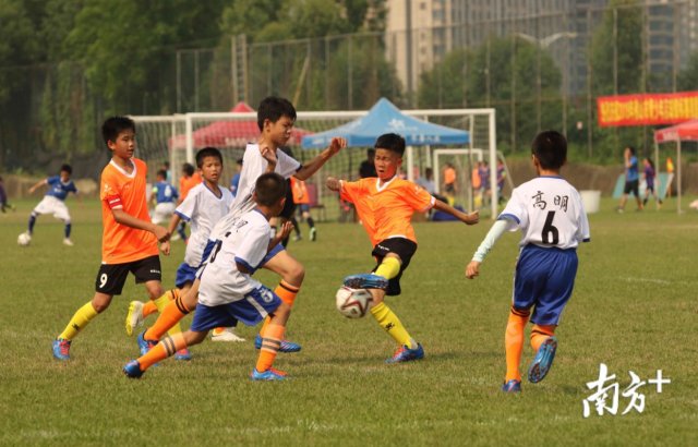  青少年足球锦标赛落幕，潜力新苗脱颖而出  